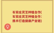 石家庄灵芝种植合作(石家庄灵芝种植合作：携手打造健康产业链)
