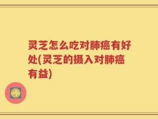 灵芝怎么吃对肺癌有好处(灵芝的摄入对肺癌有益)