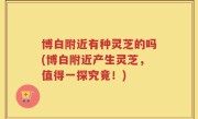 博白附近有种灵芝的吗(博白附近产生灵芝，值得一探究竟！)