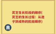 灵芝生长阶段的顺序(灵芝的生长过程：从孢子到成熟的阶段顺序)