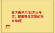 看大山采灵芝(大山寻宝：挖掘野生灵芝的艰辛旅程)