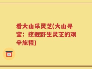 看大山采灵芝(大山寻宝：挖掘野生灵芝的艰辛旅程)