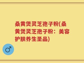 桑黄煲灵芝孢子粉(桑黄煲灵芝孢子粉：美容护肤养生圣品)