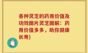 各种灵芝的药用价值及功效图片灵芝图解：药用价值多多，助你健康长寿)