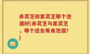 赤灵芝和紫灵芝那个泡酒好(赤灵芝与紫灵芝，哪个适合用来泡酒？)