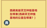 西藏美丽灵芝种植基地在哪里(西藏灵芝种植基地的位置在哪里？)