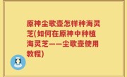 原神尘歌壶怎样种海灵芝(如何在原神中种植海灵芝——尘歌壶使用教程)