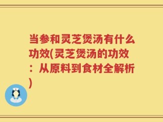当参和灵芝煲汤有什么功效(灵芝煲汤的功效：从原料到食材全解析)