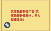 灵芝最新种植广告(灵芝最新种植技术，助力健康生活)