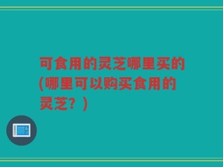 可食用的灵芝哪里买的(哪里可以购买食用的灵芝？)