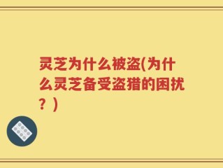 灵芝为什么被盗(为什么灵芝备受盗猎的困扰？)