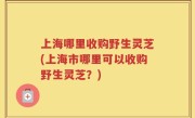 上海哪里收购野生灵芝(上海市哪里可以收购野生灵芝？)