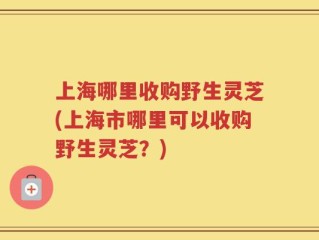 上海哪里收购野生灵芝(上海市哪里可以收购野生灵芝？)