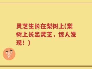 灵芝生长在梨树上(梨树上长出灵芝，惊人发现！)