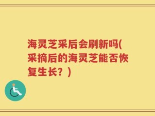 海灵芝采后会刷新吗(采摘后的海灵芝能否恢复生长？)