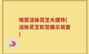 观赏活体灵芝大摆件(活体灵芝巨型展示装置)