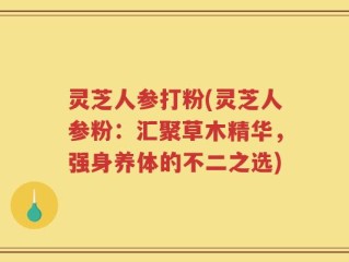 灵芝人参打粉(灵芝人参粉：汇聚草木精华，强身养体的不二之选)