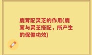 鹿茸配灵芝的作用(鹿茸与灵芝搭配，所产生的保健功效)