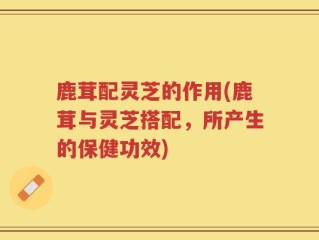鹿茸配灵芝的作用(鹿茸与灵芝搭配，所产生的保健功效)