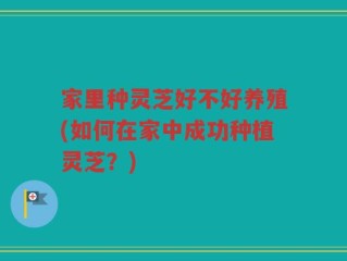 家里种灵芝好不好养殖(如何在家中成功种植灵芝？)