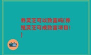 养灵芝可以致富吗(养殖灵芝可成致富项目！)