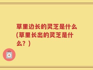 草里边长的灵芝是什么(草里长出的灵芝是什么？)