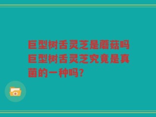 巨型树舌灵芝是蘑菇吗巨型树舌灵芝究竟是真菌的一种吗？