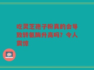 吃灵芝孢子粉真的会导致转氨酶升高吗？令人震惊