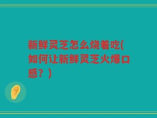 新鲜灵芝怎么烧着吃(如何让新鲜灵芝火爆口感？)