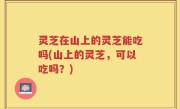 灵芝在山上的灵芝能吃吗(山上的灵芝，可以吃吗？)