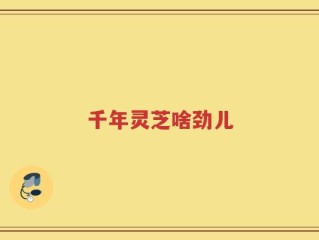 千年灵芝啥劲儿