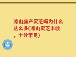 凉山盛产灵芝吗为什么这么多(凉山灵芝丰收，十分常见)