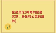 星星灵芝(神奇的星星灵芝：身体和心灵的滋养)