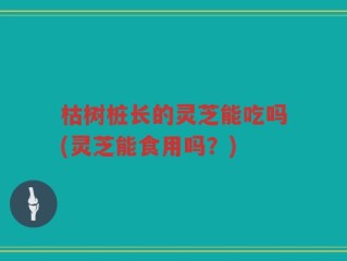 枯树桩长的灵芝能吃吗(灵芝能食用吗？)