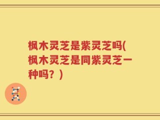 枫木灵芝是紫灵芝吗(枫木灵芝是同紫灵芝一种吗？)