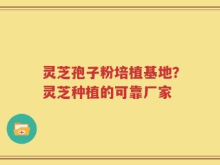 灵芝孢子粉培植基地？灵芝种植的可靠厂家