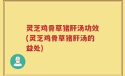 灵芝鸡骨草猪肝汤功效(灵芝鸡骨草猪肝汤的益处)