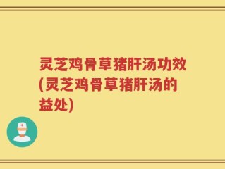 灵芝鸡骨草猪肝汤功效(灵芝鸡骨草猪肝汤的益处)