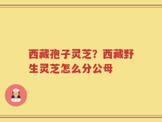 西藏孢子灵芝？西藏野生灵芝怎么分公母