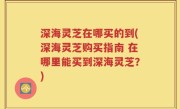 深海灵芝在哪买的到(深海灵芝购买指南 在哪里能买到深海灵芝？)