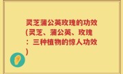 灵芝蒲公英玫瑰的功效(灵芝、蒲公英、玫瑰：三种植物的惊人功效)