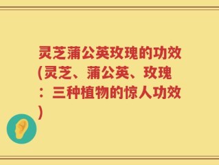 灵芝蒲公英玫瑰的功效(灵芝、蒲公英、玫瑰：三种植物的惊人功效)