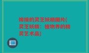 嫁接的灵芝妖精图片(灵芝妖精：植物界的精灵艺术品)