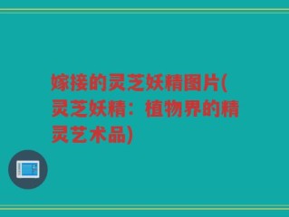 嫁接的灵芝妖精图片(灵芝妖精：植物界的精灵艺术品)