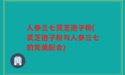 人参三七灵芝孢子粉(灵芝孢子粉与人参三七的完美配合)