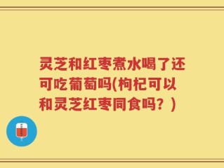 灵芝和红枣煮水喝了还可吃葡萄吗(枸杞可以和灵芝红枣同食吗？)