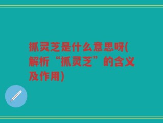 抓灵芝是什么意思呀(解析“抓灵芝”的含义及作用)