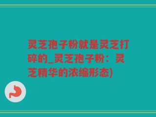灵芝孢子粉就是灵芝打碎的_灵芝孢子粉：灵芝精华的浓缩形态)