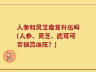 人参和灵芝鹿茸升压吗(人参、灵芝、鹿茸可否提高血压？)