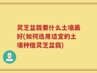 灵芝盆栽要什么土壤最好(如何选用适宜的土壤种植灵芝盆栽)
